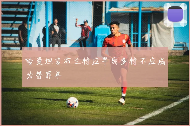 哈曼坦言布兰特应早离多特不应成为替罪羊