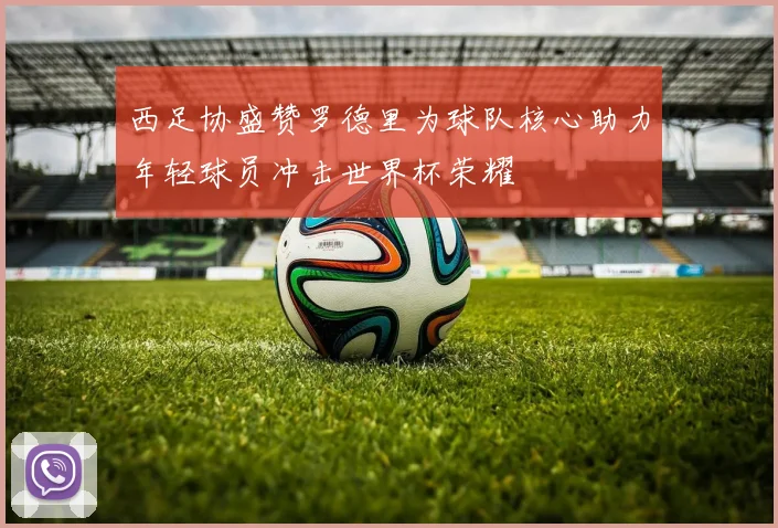 西足协盛赞罗德里为球队核心助力年轻球员冲击世界杯荣耀